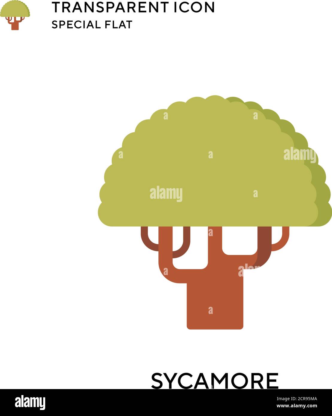 Sycamore tree acer pseudoplatanus close Stock Vector Images Alamy