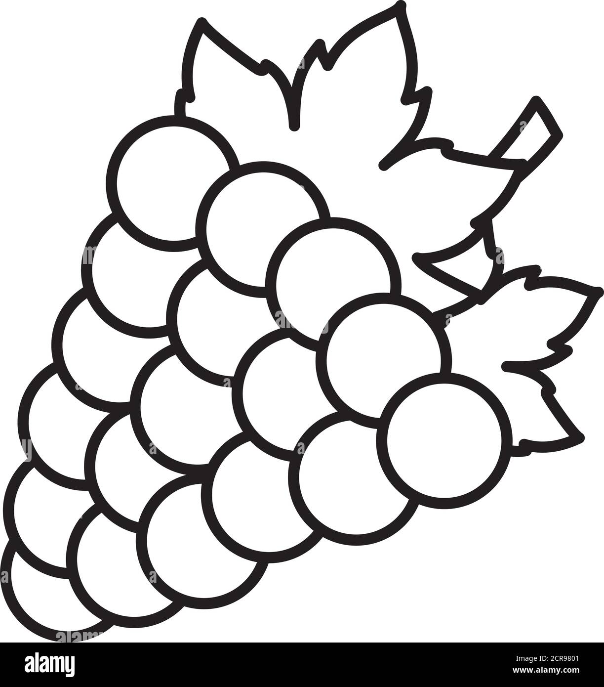 bunch of grapes icon over white background, line style, vector ...