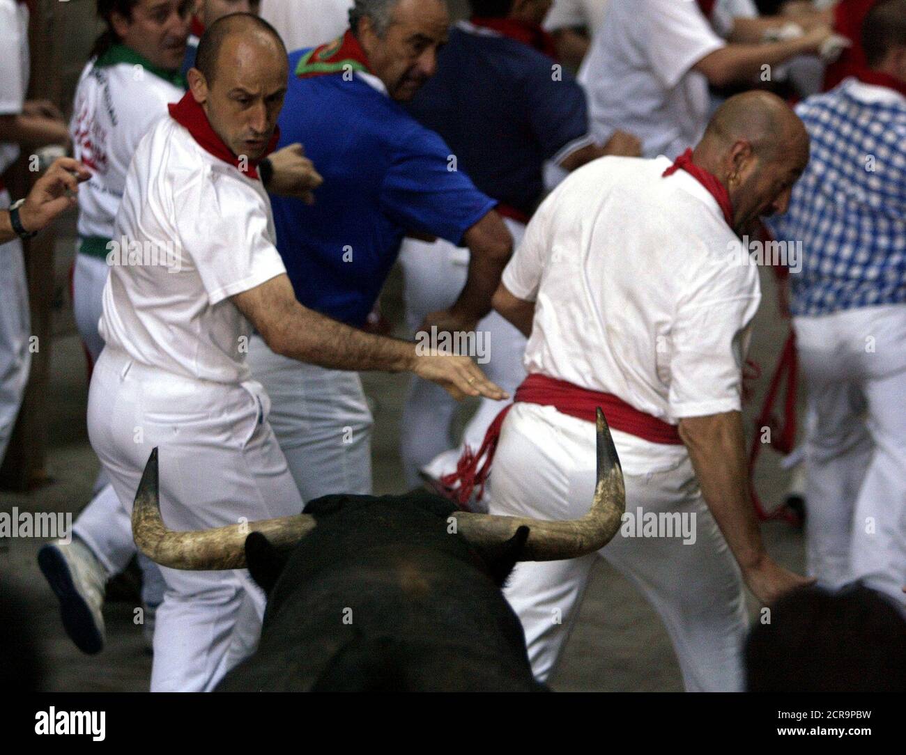 BULL RUNNERS LEAD PACK OF FIGHTING BULLS AND STEERS DURING SECOND BULL