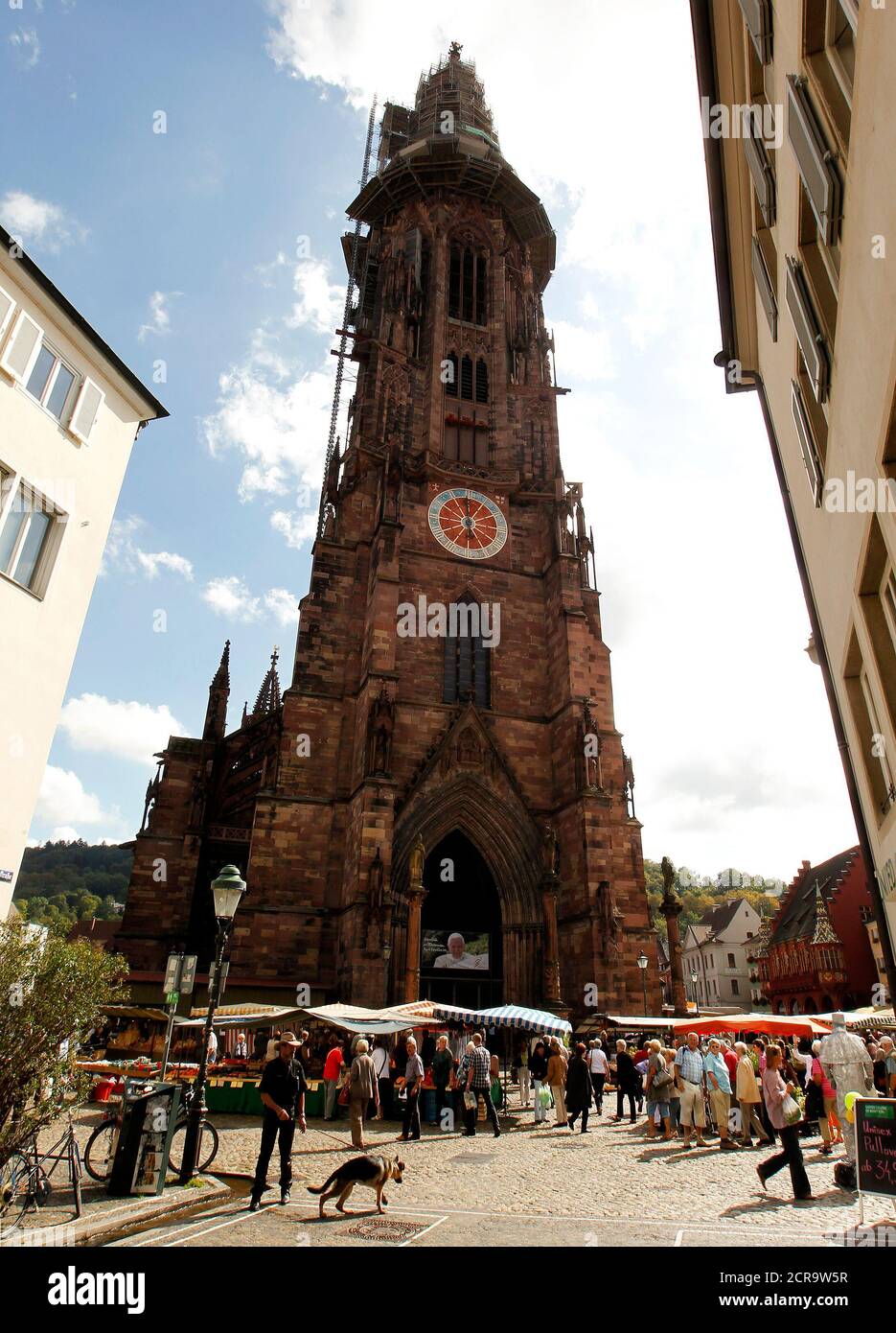 General view of the Freiburger Muenster (Freiburg Minster) in the south-western German town of Freiburg September 14, 2011. Pope Benedict XVI will visit Freiburg from September 24 to 25. REUTERS/Arnd Wiegmann (GERMANY - Tags: RELIGION CITYSPACE) Stock Photo