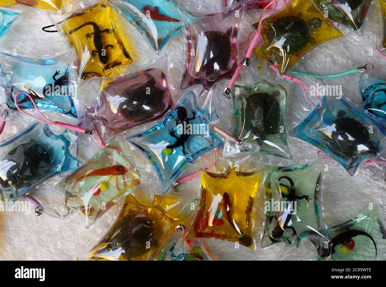 Small plastic bags holding fish, turtles and salamanders are displayed for  sale at a shopping district in Beijing March 7, 2013. Each bag, filled with  oxygen and nutritional liquid, can keep the