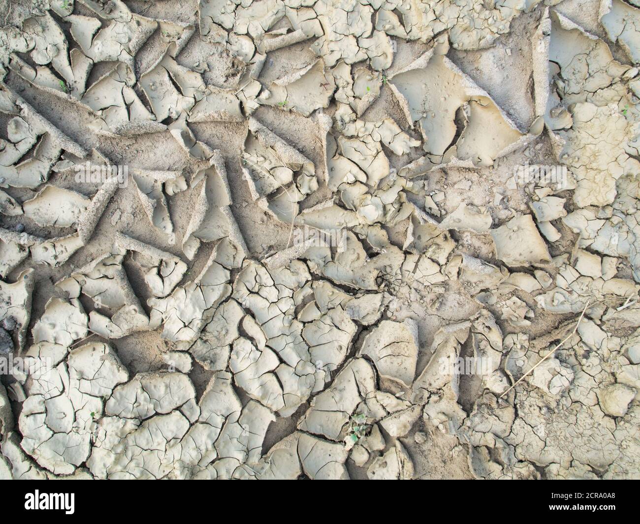 Dried out clay soil, cracks in the ground Stock Photo