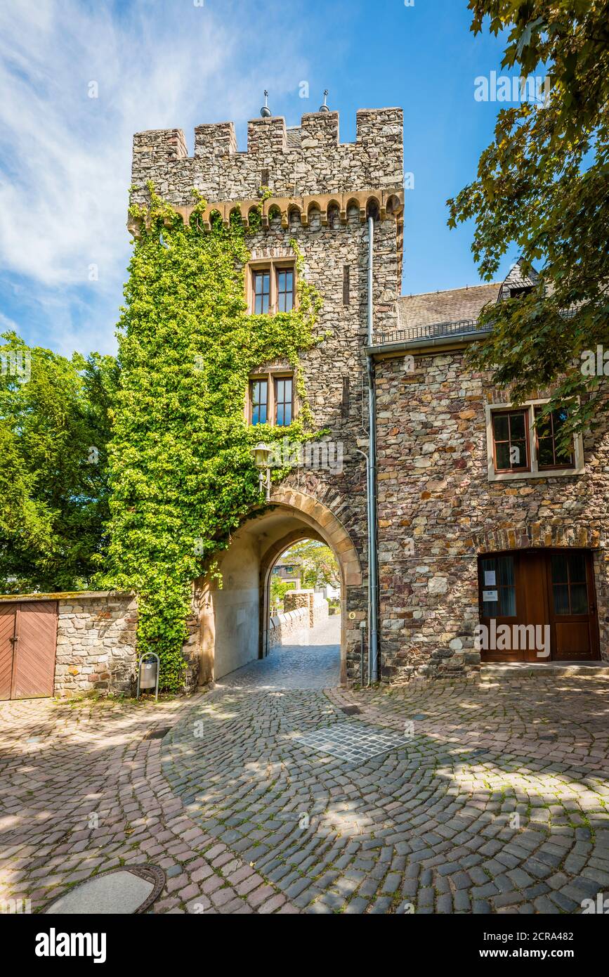 Klopp Castle near Bingen am Rhein, surrounded by vineyards, hilltop ...