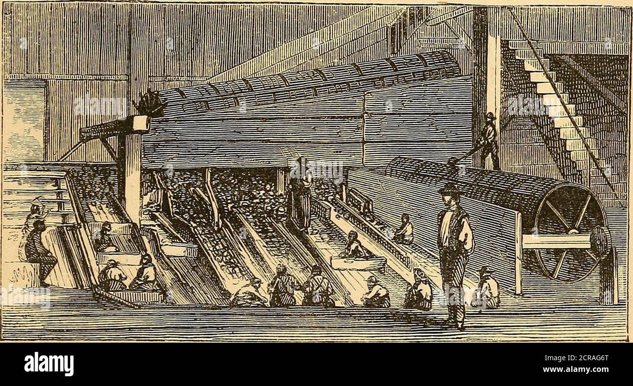 . Guide-book of the Central railroad of New Jersey, and its connections ...