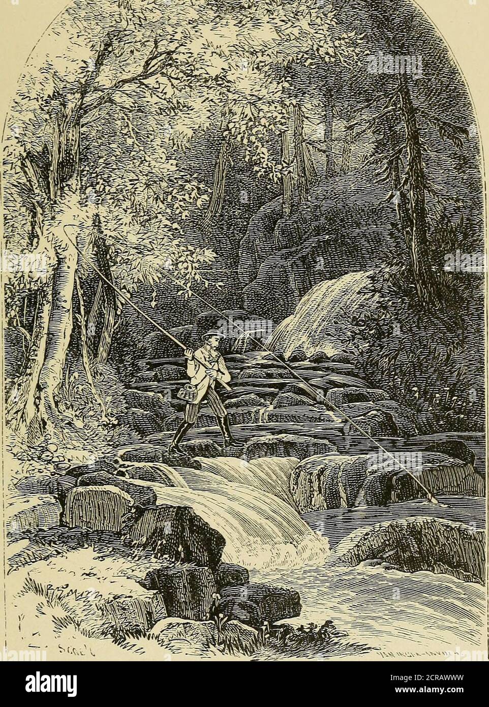 . Guidebook of the Lehigh Valley Railroad and its several branches and