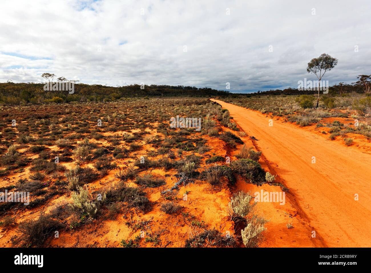 Western australian bush hires stock photography and images Alamy