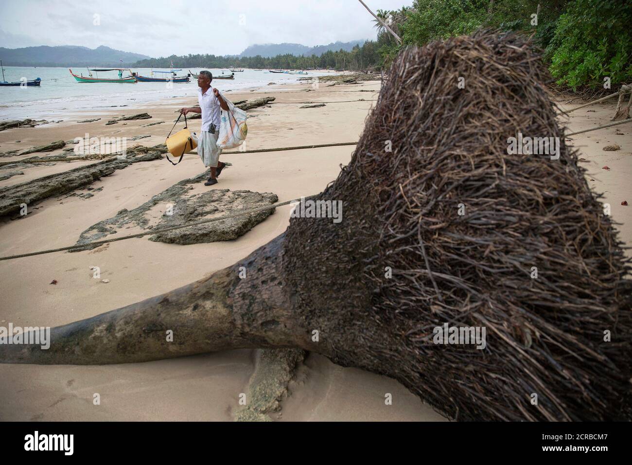 Hong Klathalay carries gear to his fishing boat as he walks past a tree brought down by the 2004 tsunami in Khao Lak, Phang Nga province December 14, 2014. Hong Klathalay, a 48-year-old community leader in the ethnic Moklen village of Thung Wa in Phang Nga province, said the tsunami put an abrupt stop to tourism development, granting them unfettered access to the sea and time to resume their traditional way of life. With tourism making a comeback in the area, the Moklens fear their way of life on the coast, with the sea, is on the brink of extinction. Picture taken December 14, 2014. REUTERS/D Stock Photo