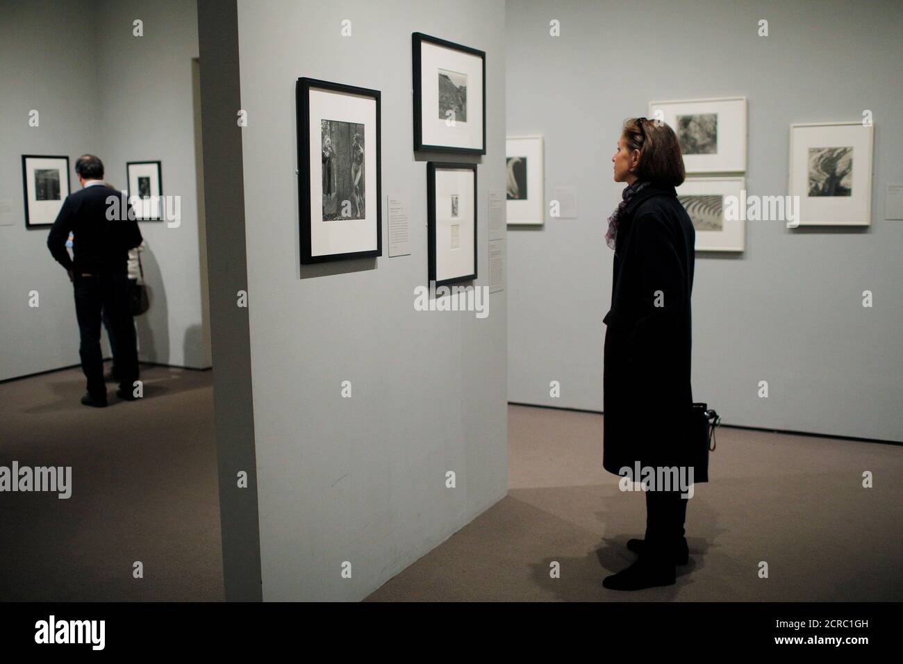 Imogen Cunningham Photography Gallery Imogen Cunningham Photography Gallery