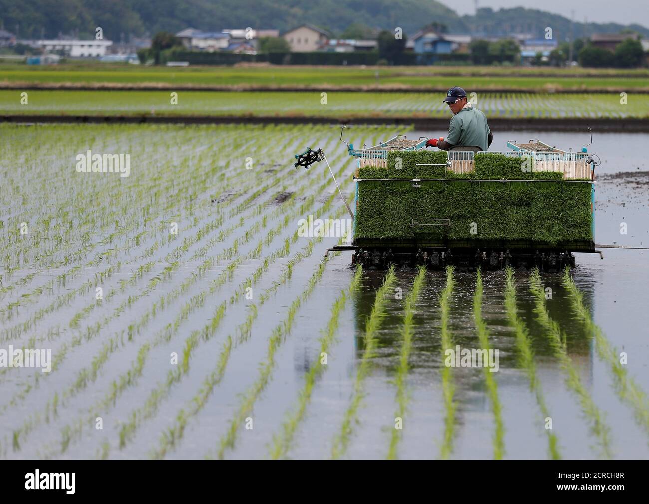 Japan rice planting machine hires stock photography and images Alamy