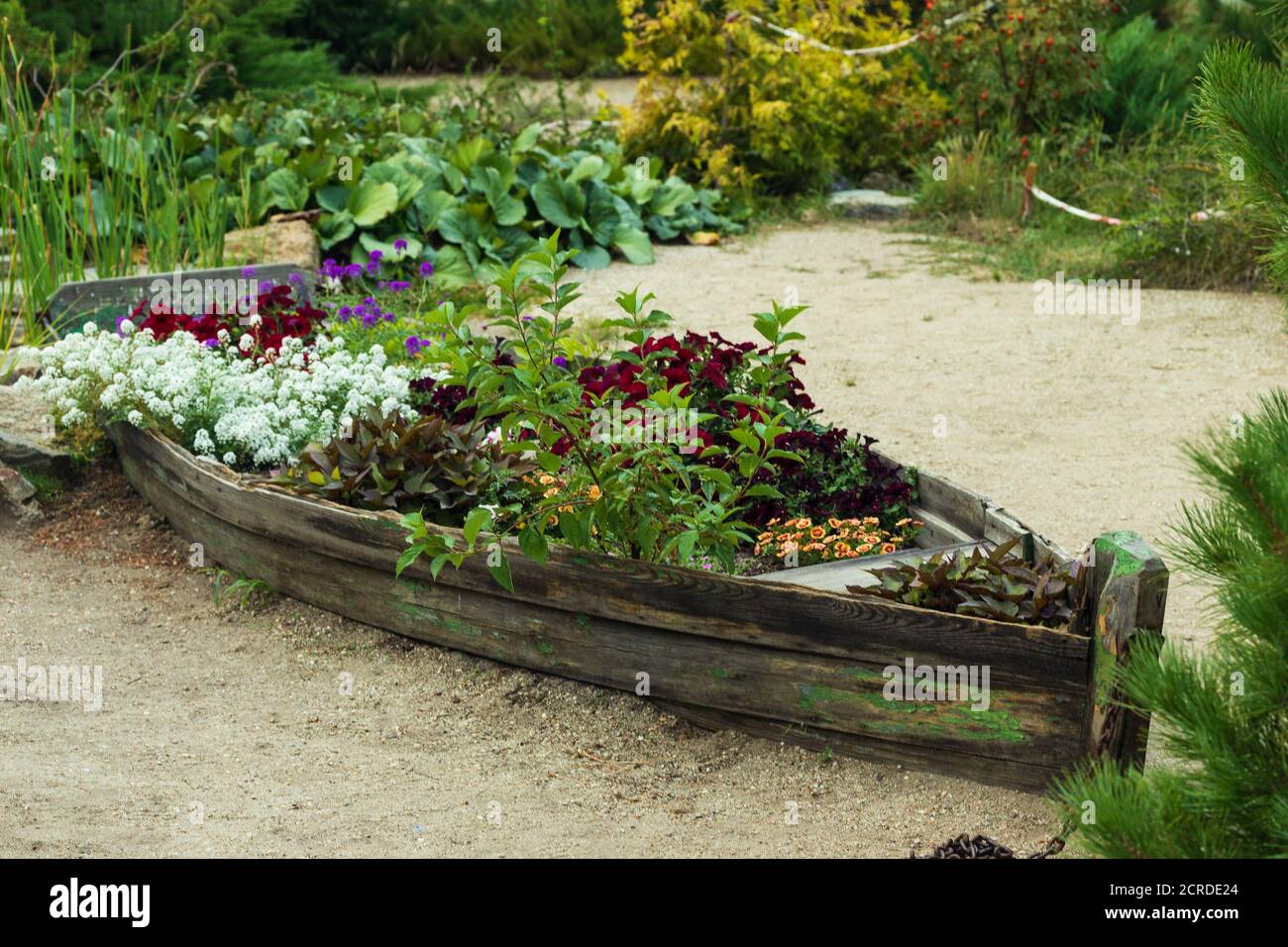 Beautifully designed flowerbed in the form of a boat of flowers of different colors. Stock Photo
