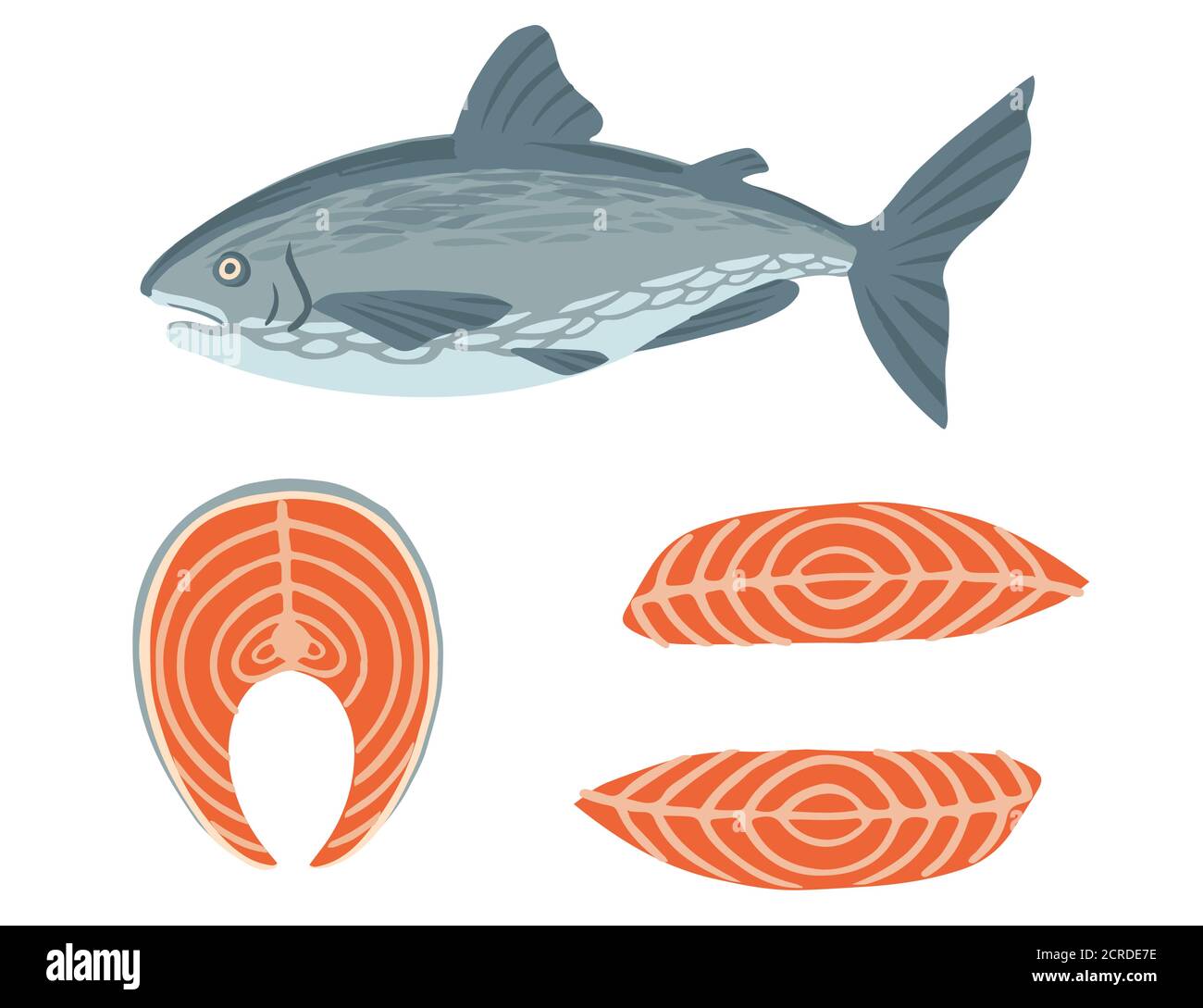 Set of steak and whole salmon red meat fish flat vector illustration ...