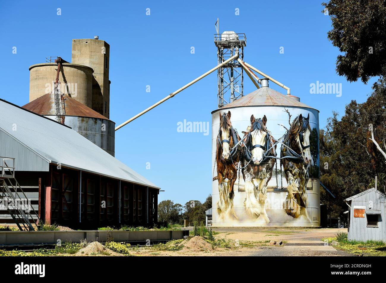 Silo Art Trail. Goorambat Australia. Jimmy DVATE's work of Shire horses on the town's grain silo is hugely popular with tourists. Stock Photo