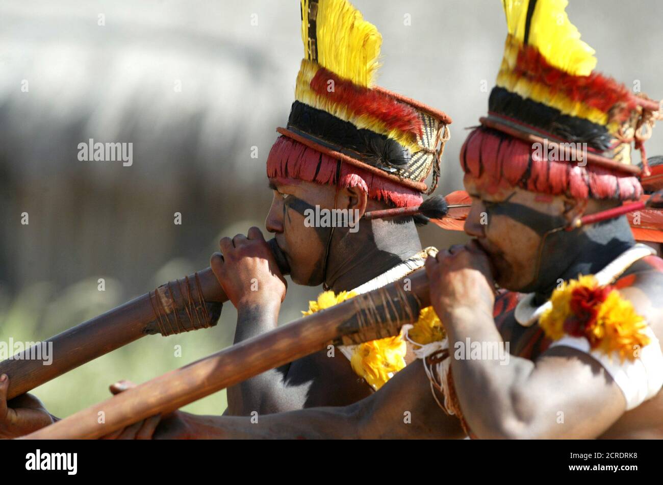 Amazon Indian Flute High Resolution Stock Photography and Images - Alamy