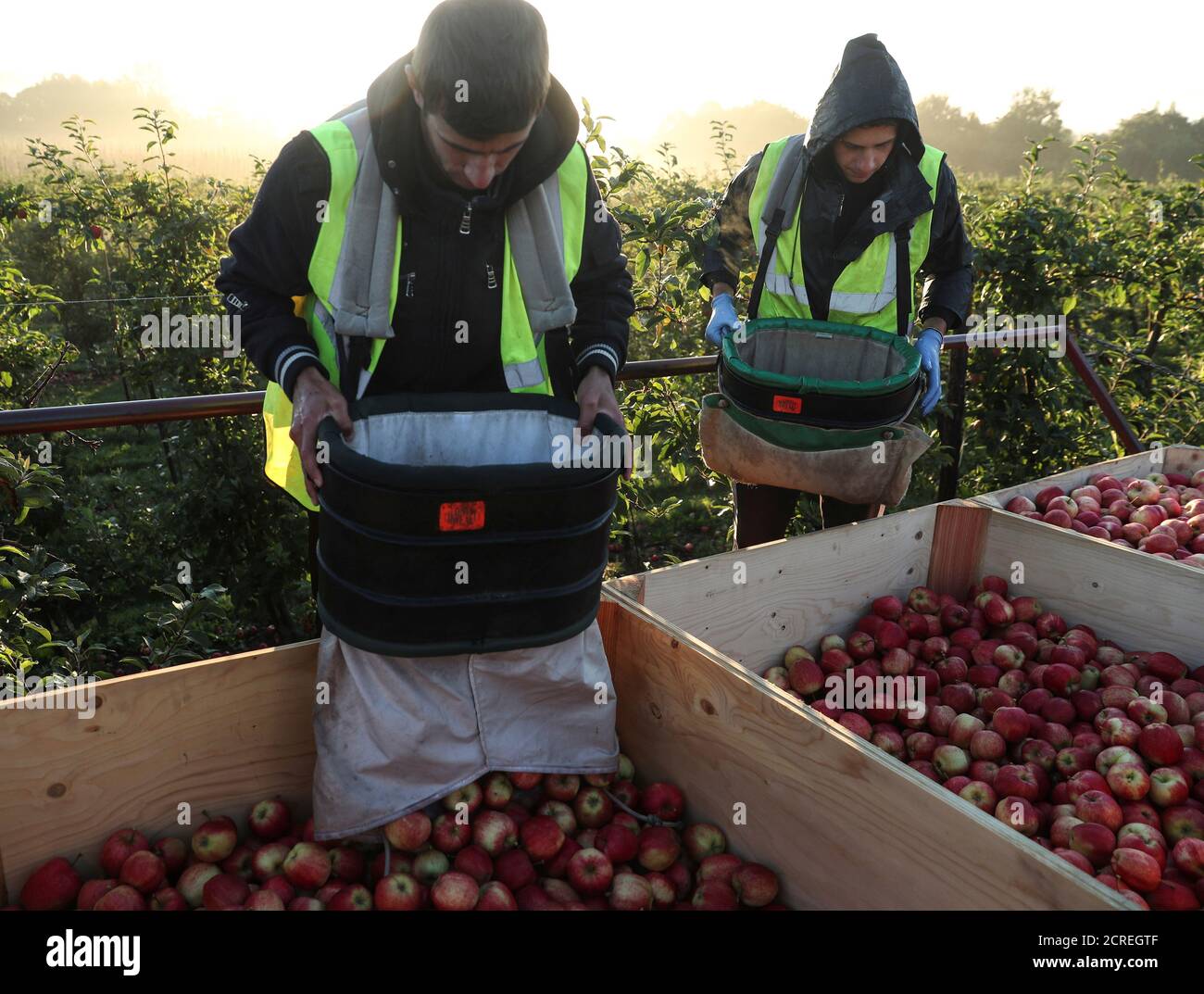 Migrant workers pick apples at Stocks Farm in Suckley, Britain October 10, 2016. Picture taken October 10, 2016. To match Insight BRITAIN-EU/MIGRANT-WORKERS REUTERS/Eddie Keogh Stock Photo