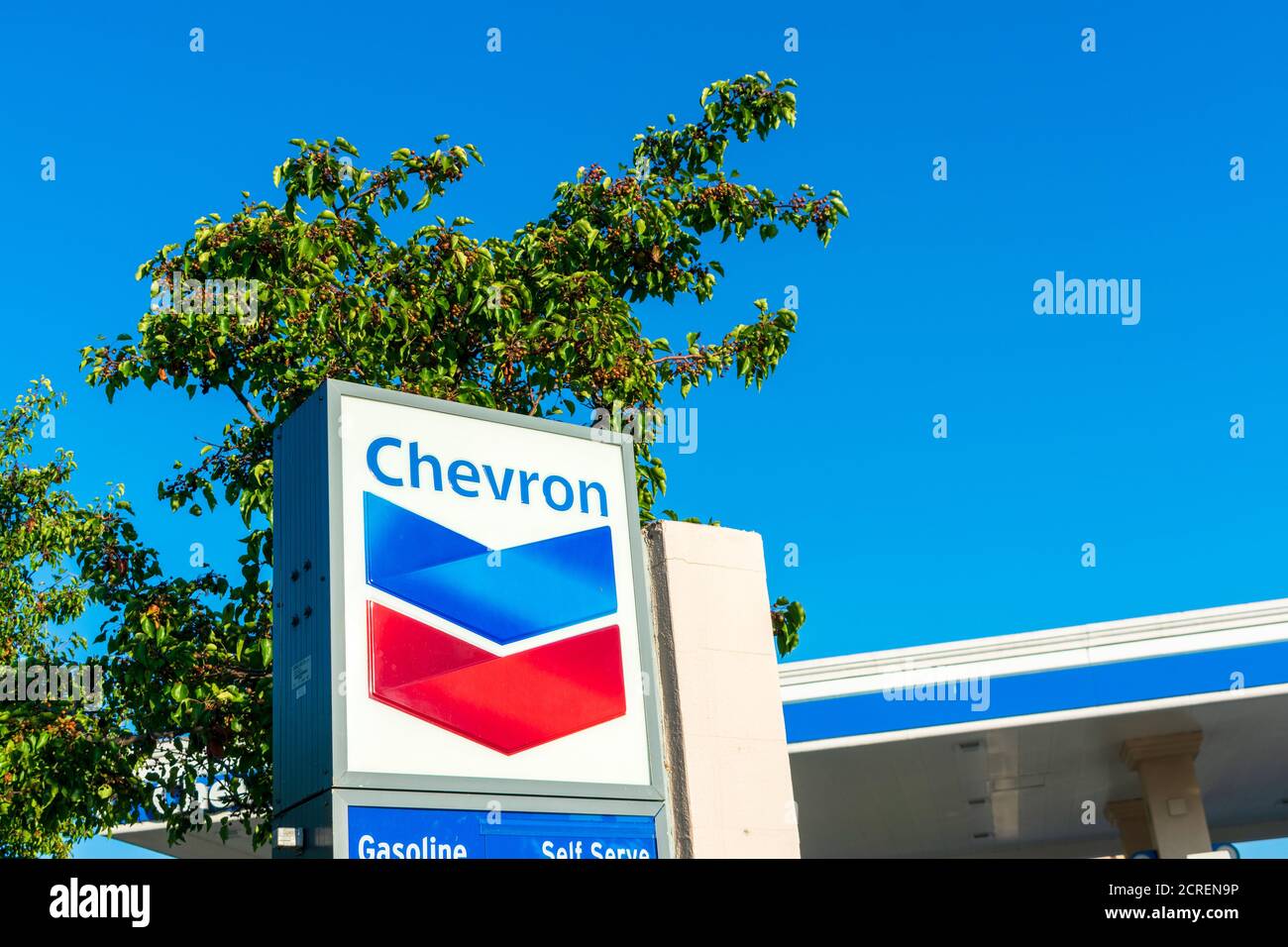 Chevron oil industry company sign at Chevron gas station against tree and  blue sky - San Jose, California, USA - 2020 Stock Photo - Alamy