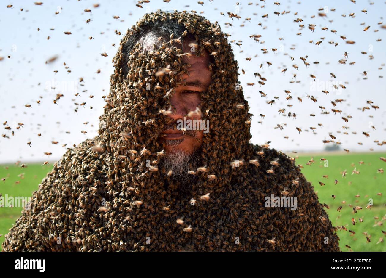 Man covered bees hires stock photography and images Alamy
