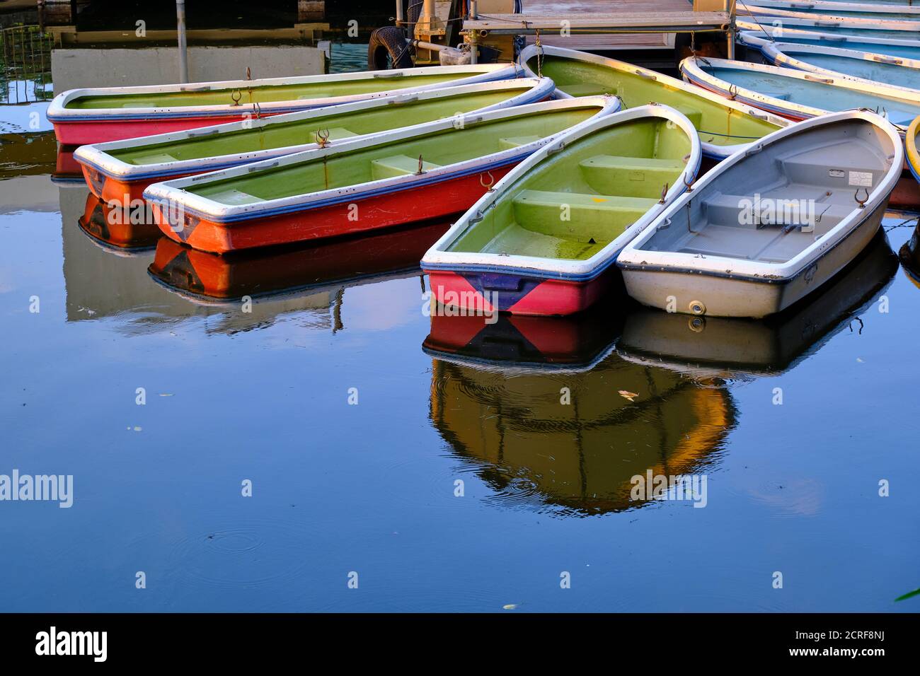 Rowing Boats For Hire On A Lake In Kichijoji Tokyo Japan Stock Photo Alamy Rowing Boats For Hire On A Lake In Kichijoji Tokyo Japan Stock Photo Alamy