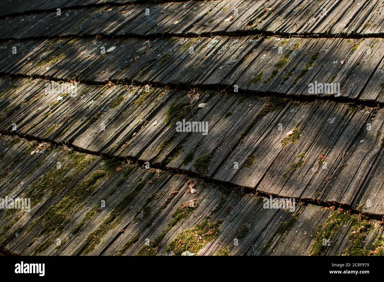 old wooden roof of house in the forest Stock Photo - Alamy