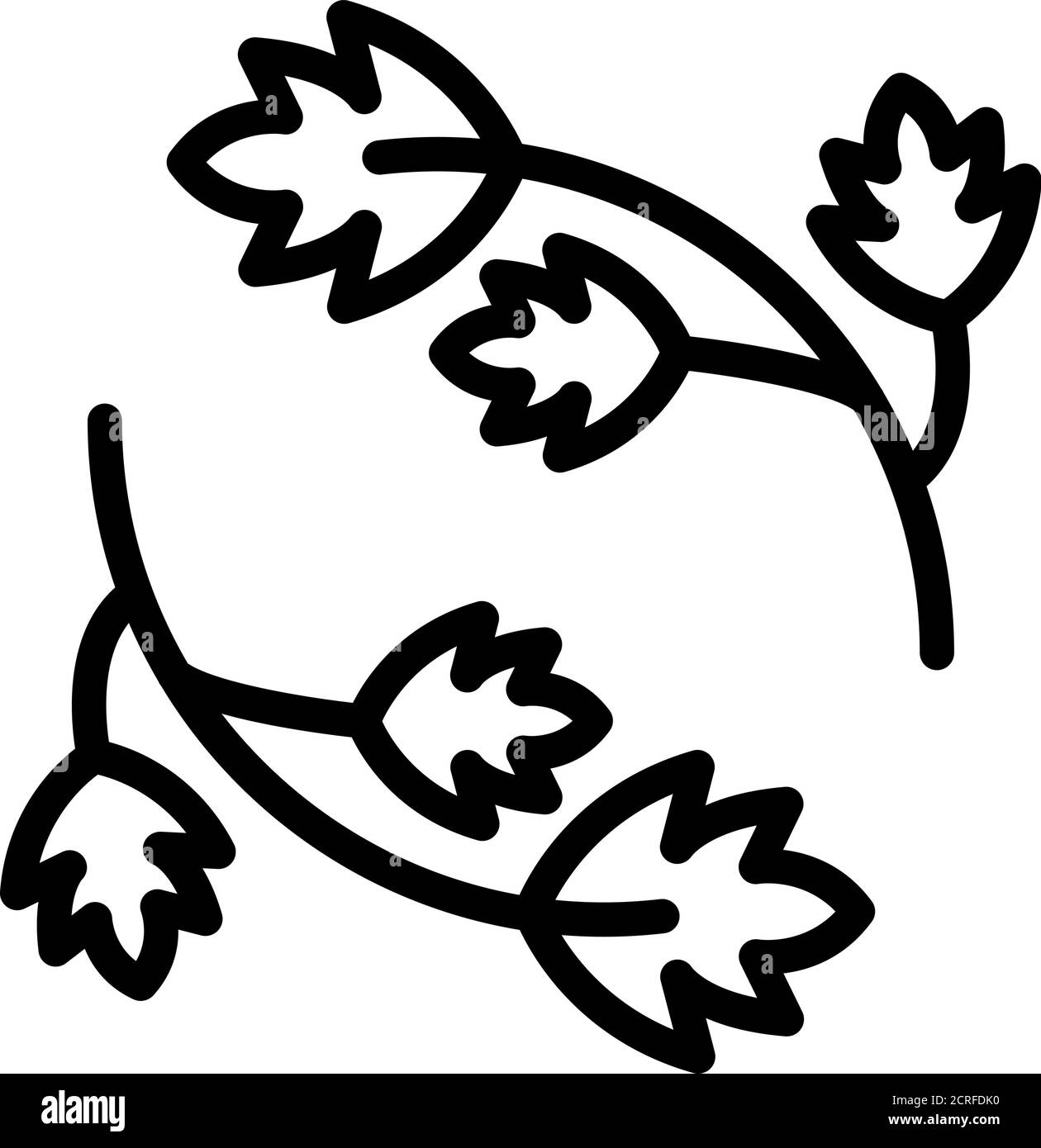Parsley herb icon, outline style Stock Vector
