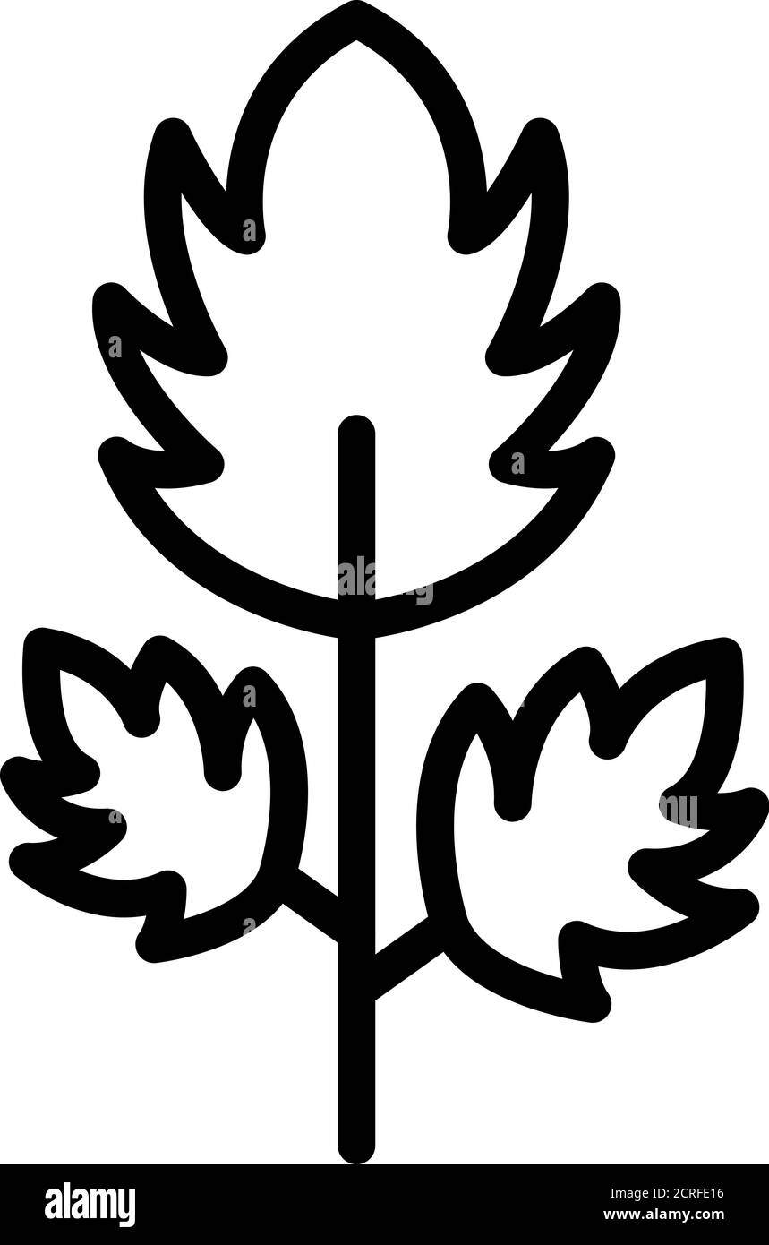 Parsley botany icon, outline style Stock Vector