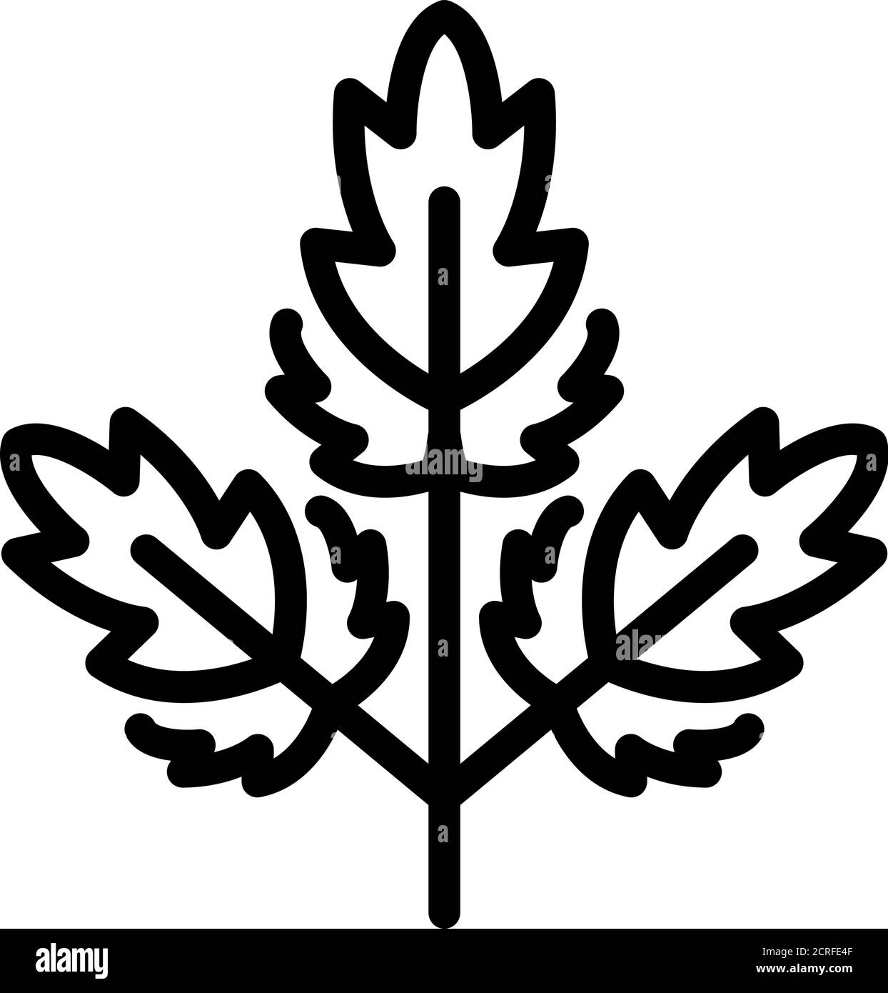 Parsley ingredient icon, outline style Stock Vector