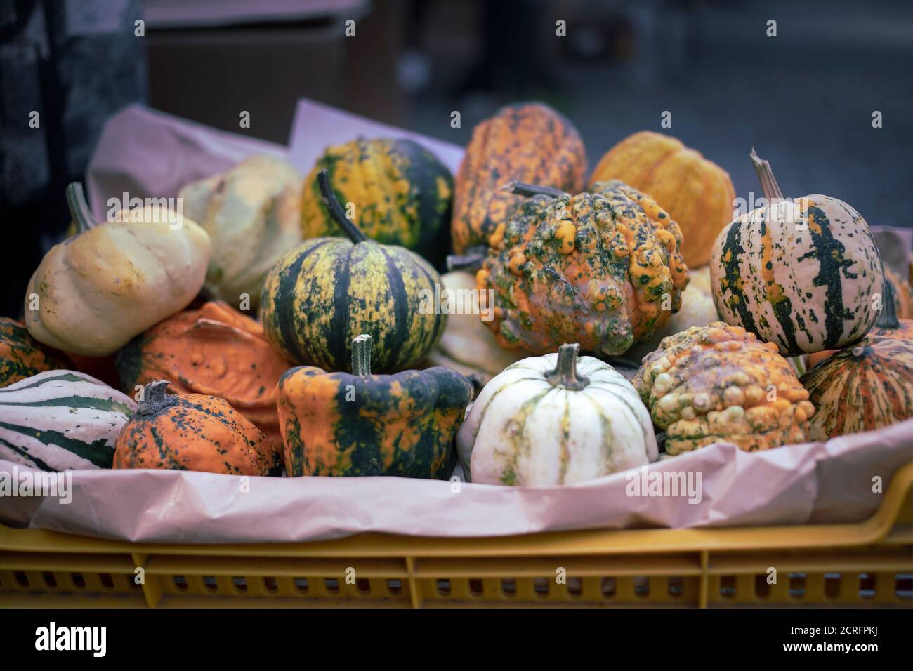 Cucurbits in crate displayed for sale at farmers market Stock Photo