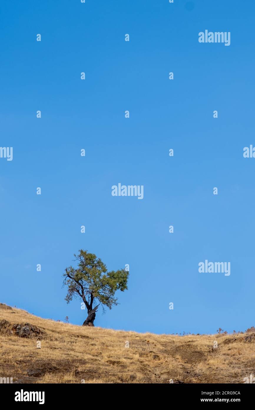 Lonely landscapes hi-res stock photography and images - Alamy