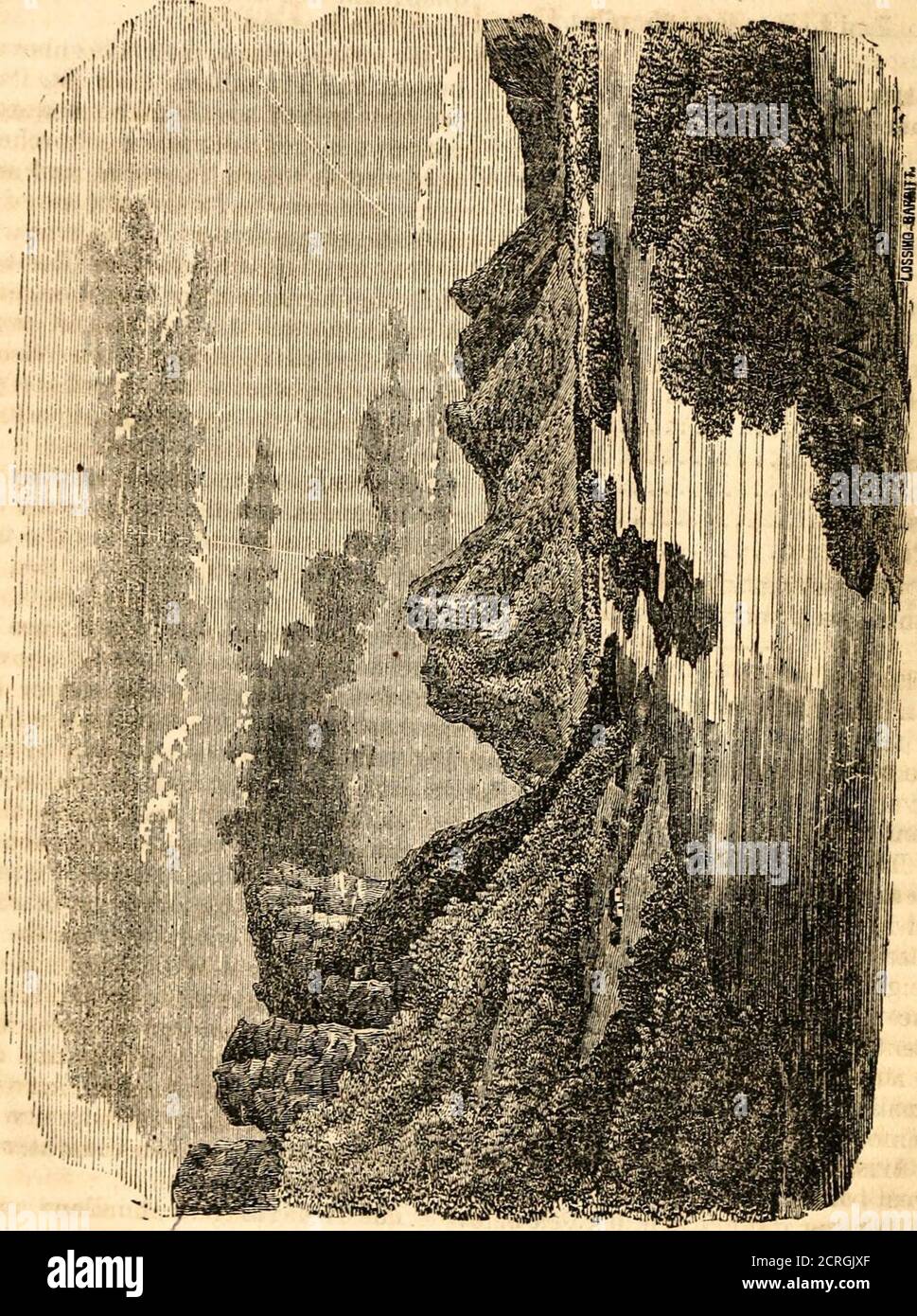 . Tourist's guide to the Mississippi River : giving all the railroad and steamboat routes diverging from Chicago, Milwaukee, and Dubuque, toward St. Paul, and the falls of St. Anthony; also, railroad and steamboat routes from Chicago and Milwaukee to Lake Superior; together with an account of cities and villages, and objects of interest, on the route and in the upper valley of the Mississippi ... . mouthof the .Chippewa river, and at the foot ofLake Pepin, 35 miles below Red Wing.It is a flourishing village, from whichlarge quantities of wheat are tran-shipped. As the river both above andbelow Stock Photo