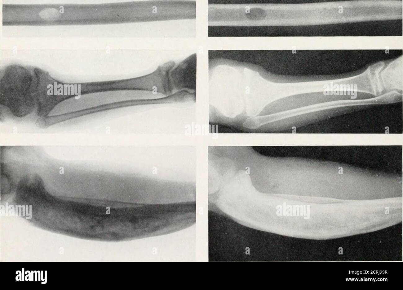 Radiography X Ray Therapeutics And Radium Therapy Sq S J O3 Gt O S Eh Co E Z 5 R S Ri C