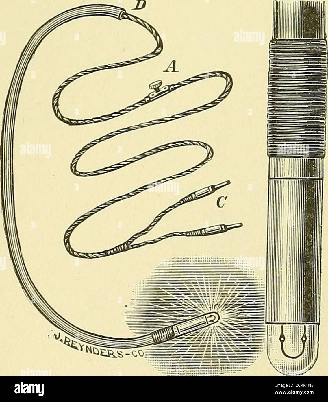 . The medical and surgical uses of electricity : including the X-ray, Finsen light, vibratory therapeutics, and high-frequency currents . NdeSs^ Fig. 140. Fig. 141. Einhorns Gastrodiaphane for Transillumination of the Stomach. rest there is no change in the current. In connecting the ticker withthe battery and the ball, each motion of the latter will be recorded on thepaper in showing the breaks and makes of the current. If the ball is swallowed and brought into the stomach, the motions of 444 ELECTRO-THERAPEUTICS. it—which are caused by the active and passive motions of the stomach—•can be re Stock Photo