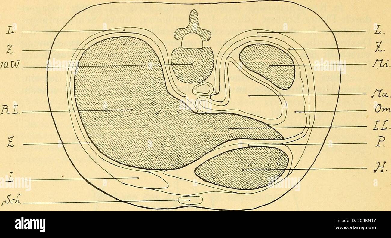 Linker vorhof hires stock photography and