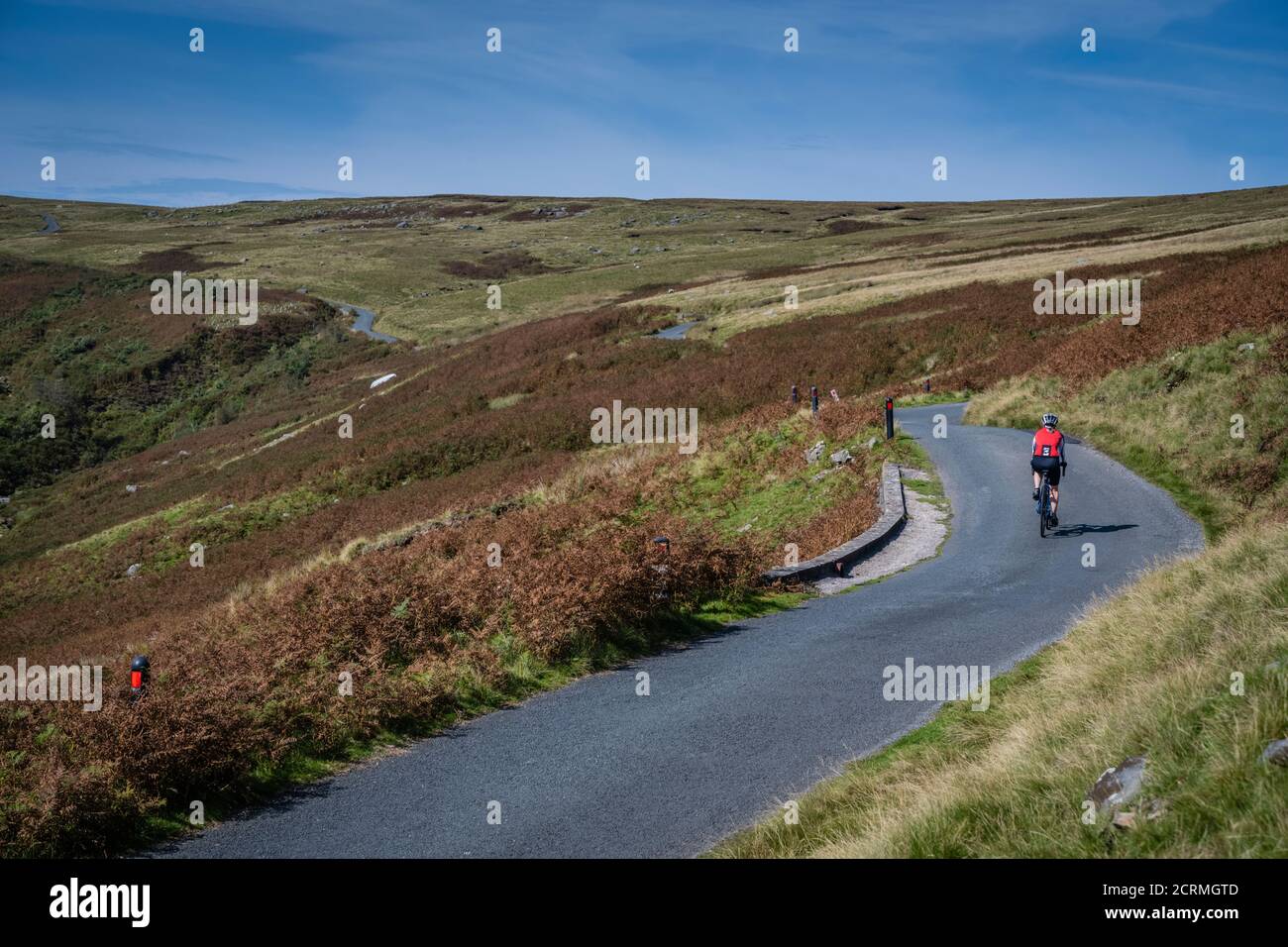 A female cyclist climbs the Cross of Greet road, Tatham Fell, Lancashire, UK Stock Photo