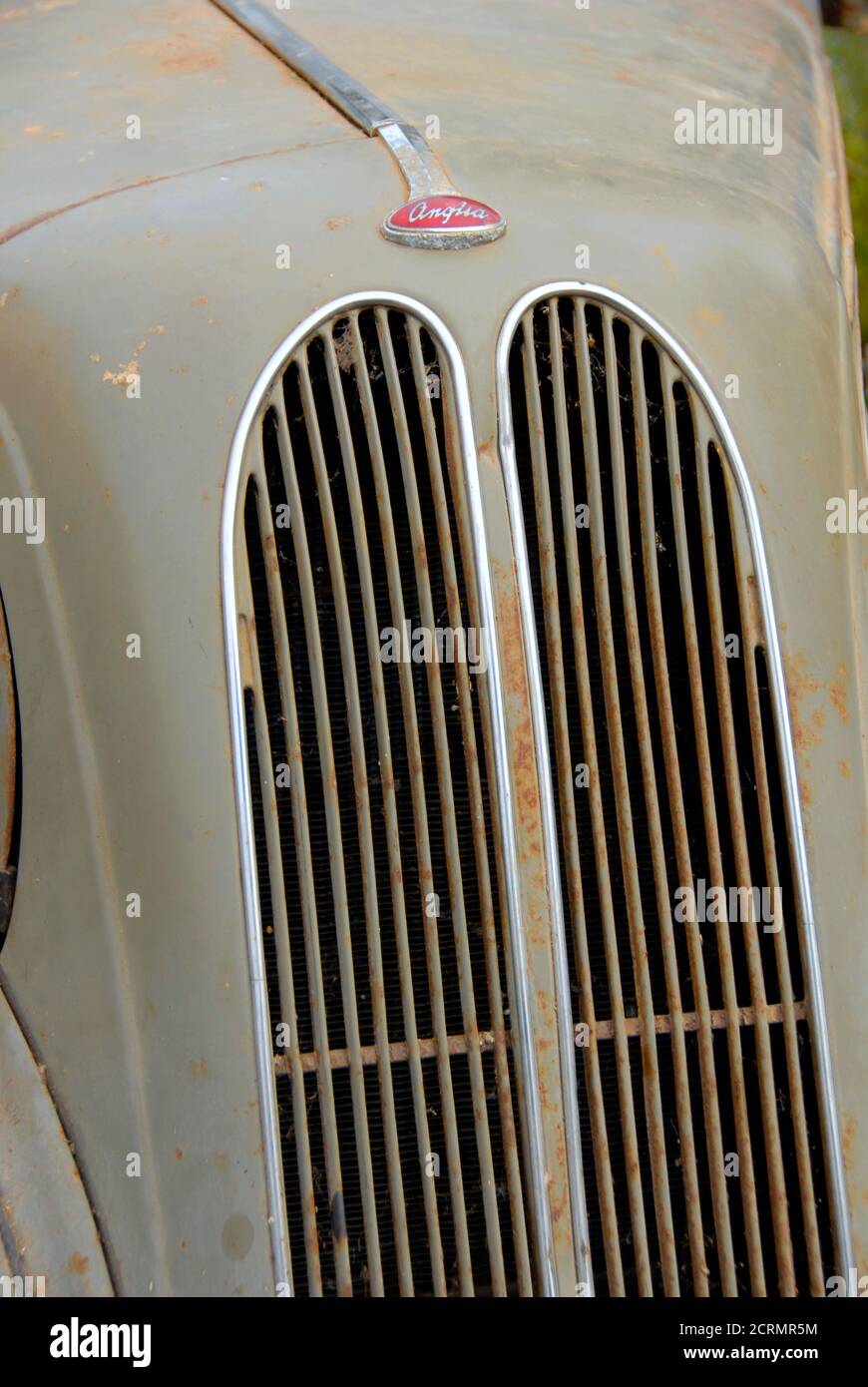 Bonnet of very old Ford Anglia car, England, in need of renovation Stock Photo