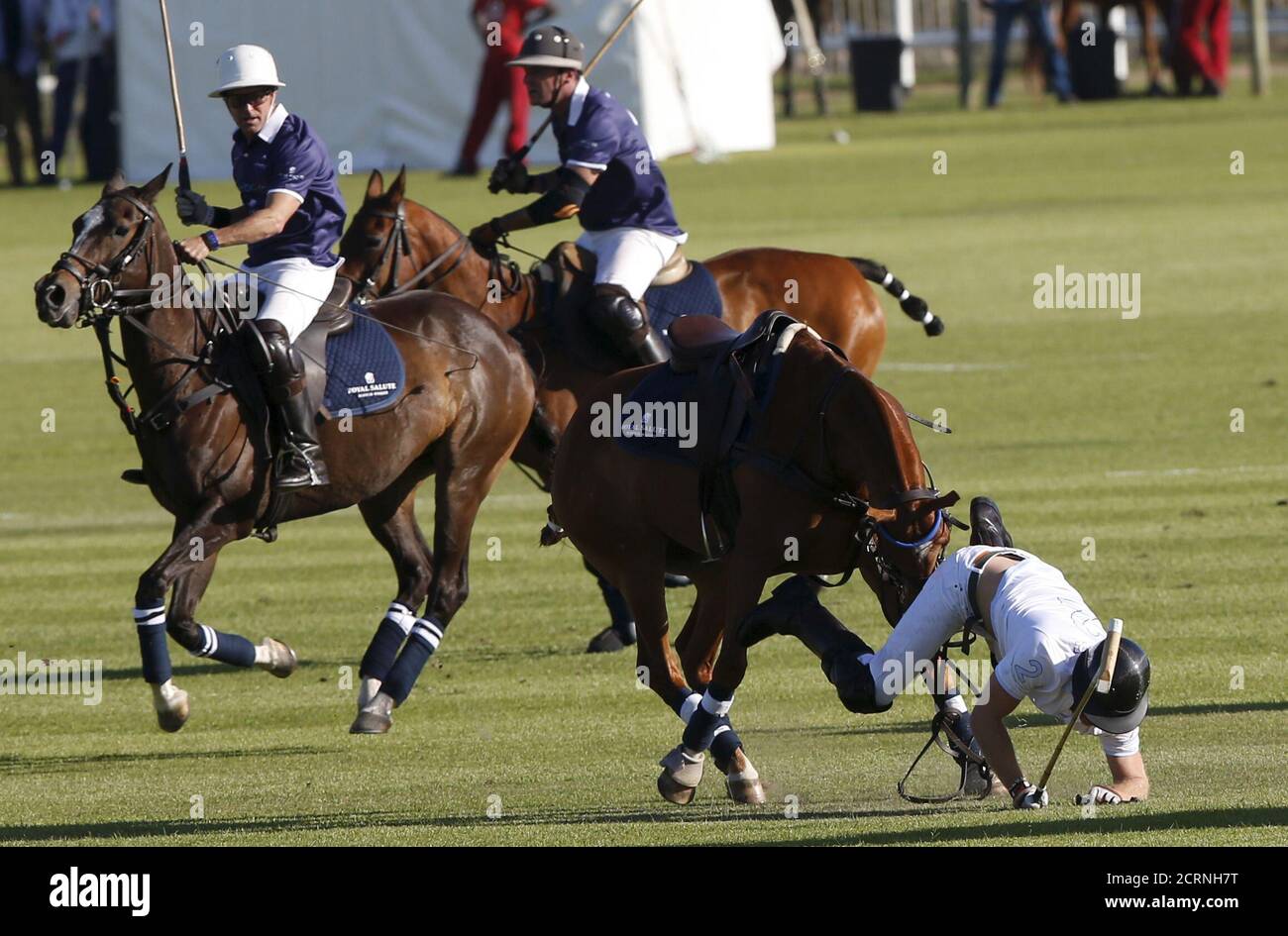 Horse Polo South Africa High Resolution Stock Photography and Images - Alamy