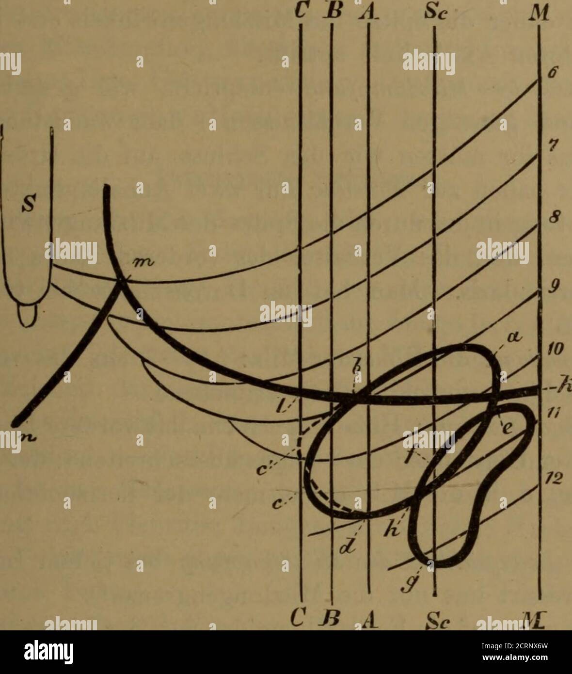 Page 3 Milz High Resolution Stock Photography And Images Alamy