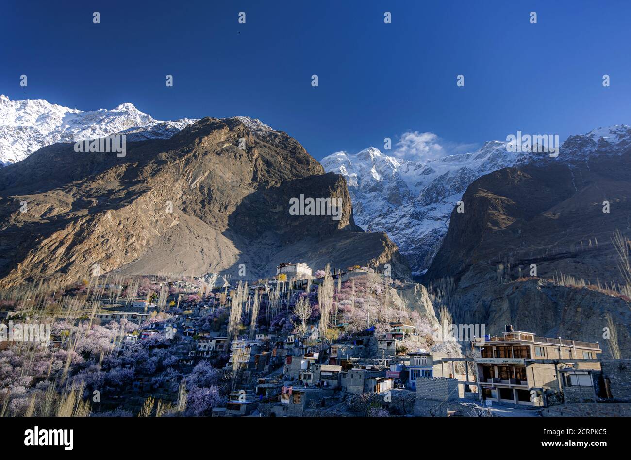 land scape photography od spring , cherry blossom and apricot blossom ...
