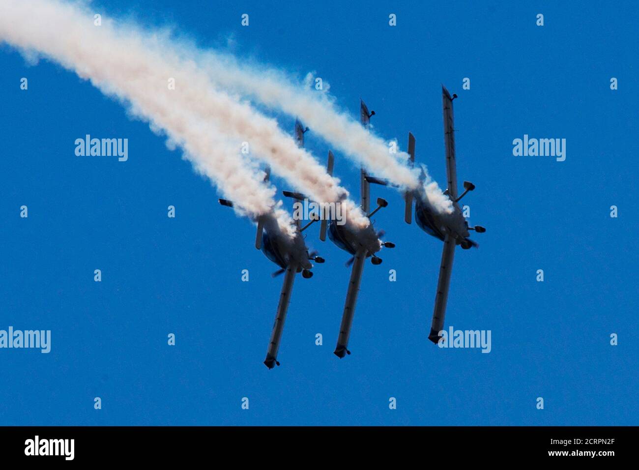 Fly Synthesis Texan High Resolution Stock Photography and Images - Alamy