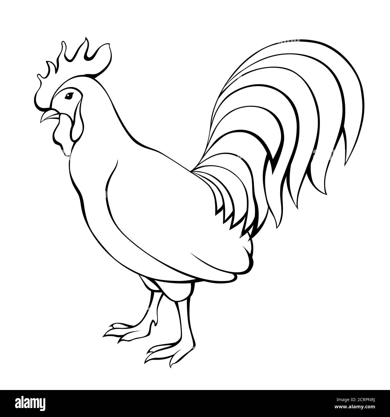 Cock bird black white isolated illustration vector Stock Vector Image ...