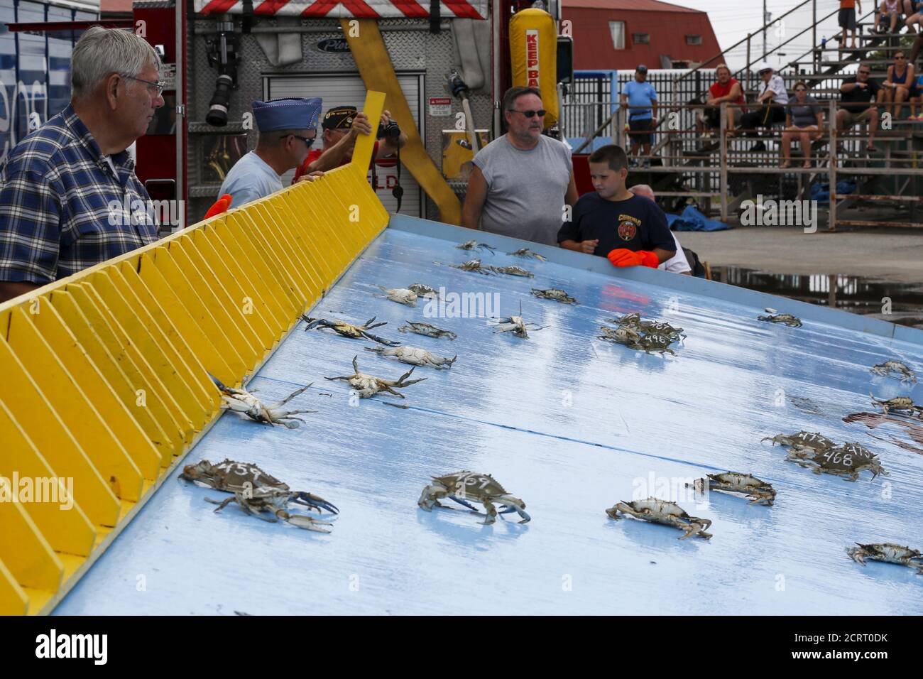Hard crab derby hi-res stock photography and images - Alamy