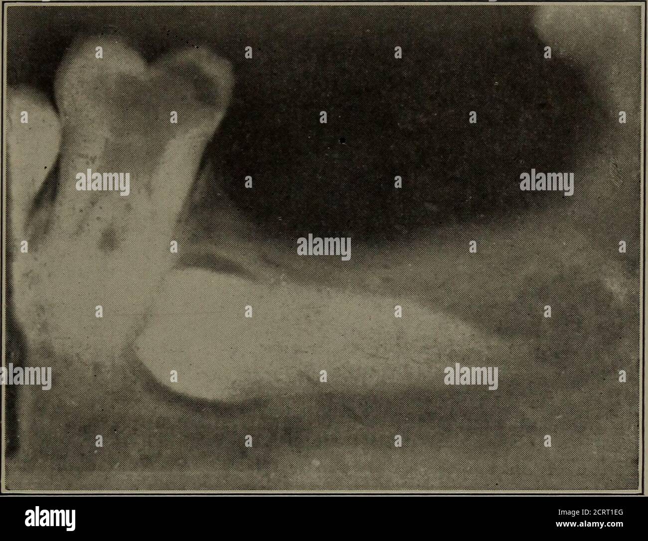 see through air force ones