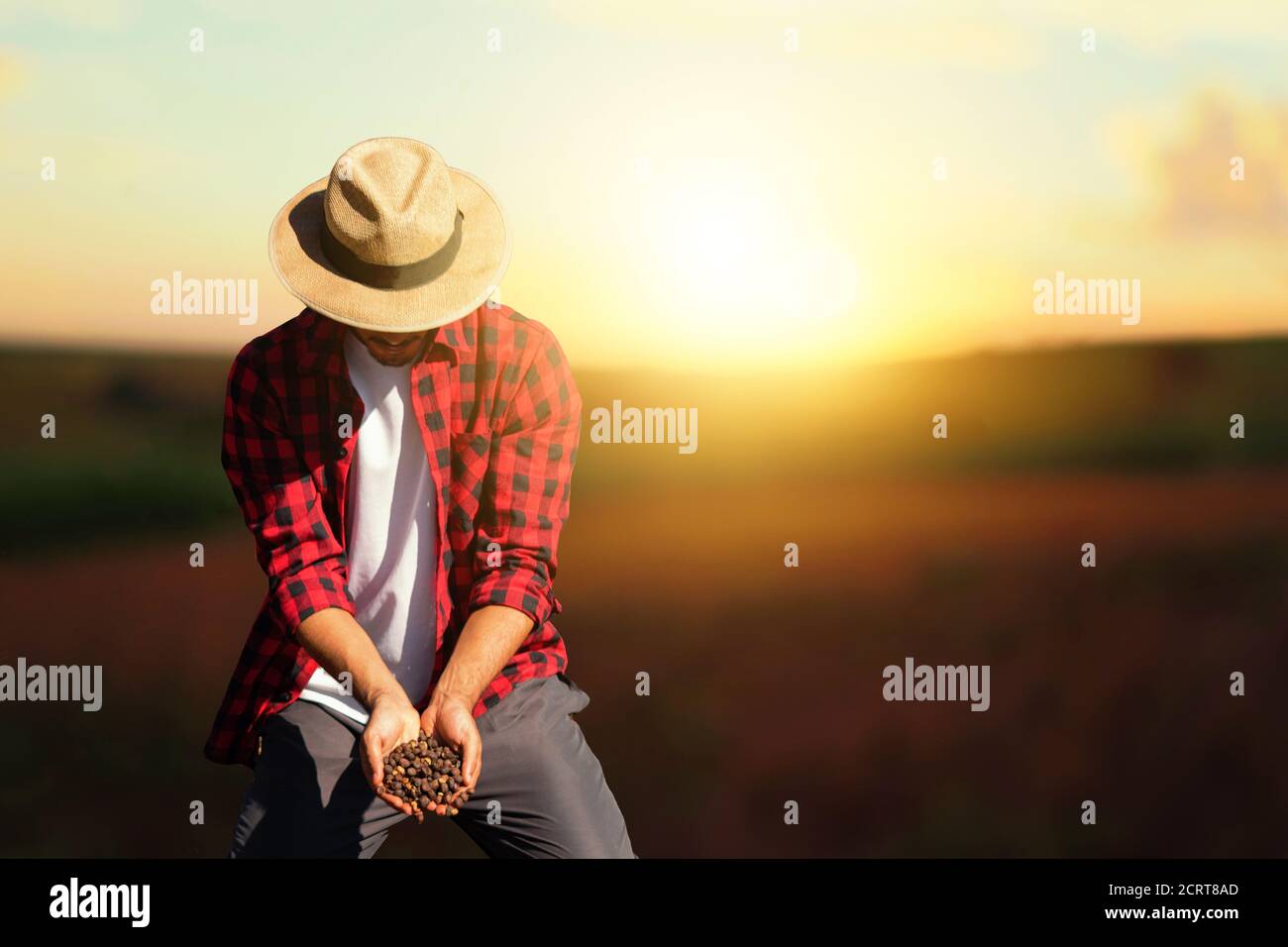 Farmer at sunset outdoor . Man with hat in a sunset blurry background. Space for text. Stock Photo