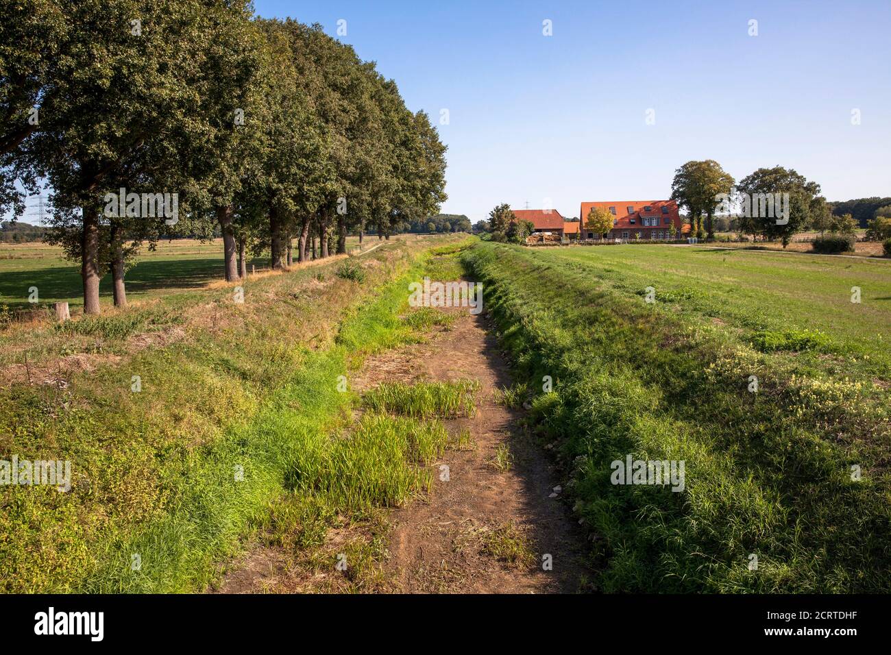 the dry fallen river Issel near Wesel on September 19th. 2020, North Rhine-Westphalia, Germany.  der trocken gefallene Fluss Issel bei Wesel am 19.09. Stock Photo