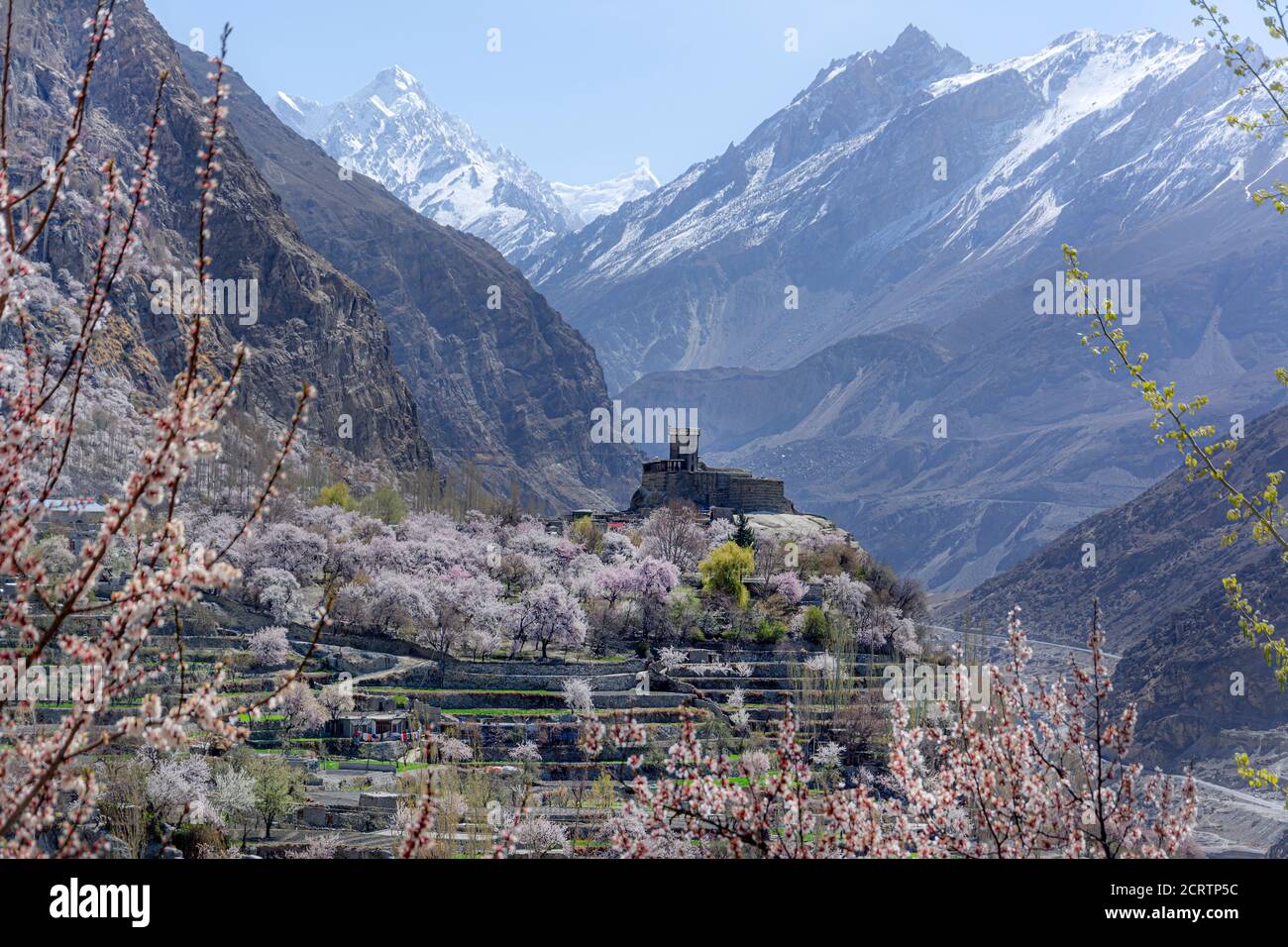 Hunza Spring Hunza apricot hi-res stock photography and images - Alamy