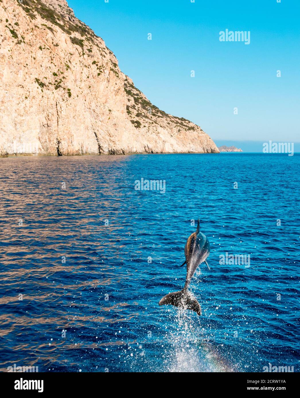 Dolphin jumping out of water on Karpathos Island, Greece Stock Photo