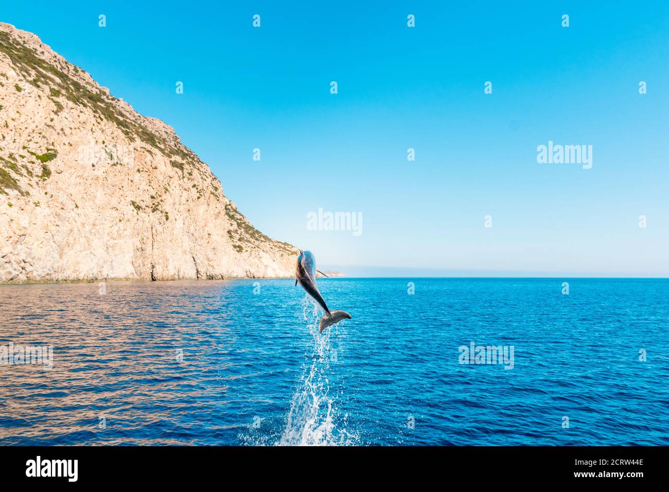 Dolphin jumping out of water on Karpathos Island, Greece Stock Photo