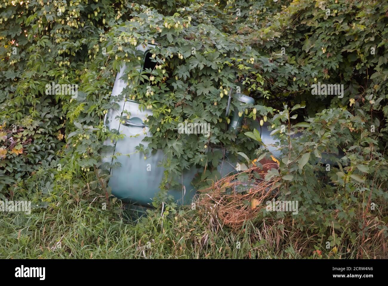 Car in the weeds hi-res stock photography and images - Alamy