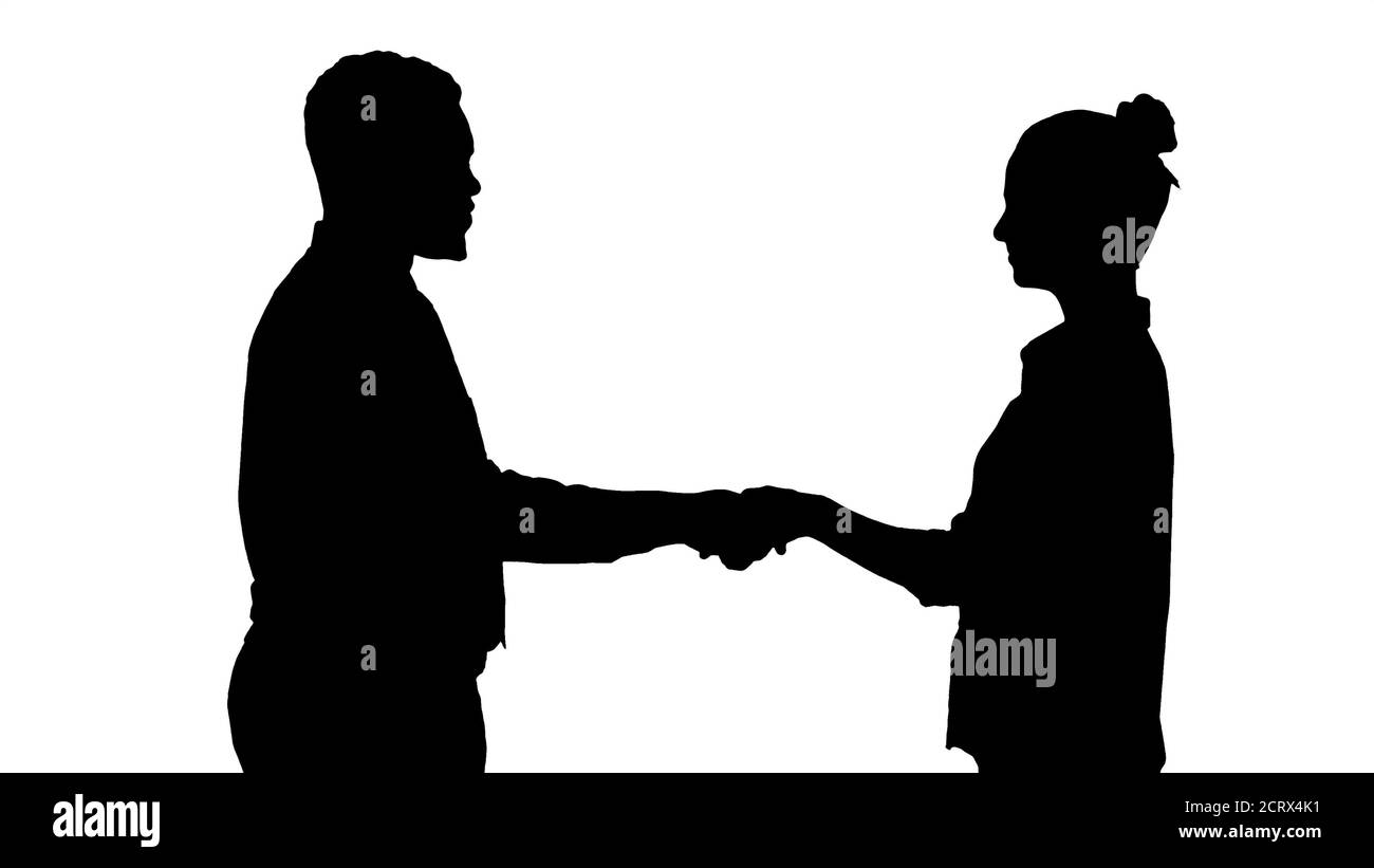 Silhouette Professional business people handshaking. Stock Photo