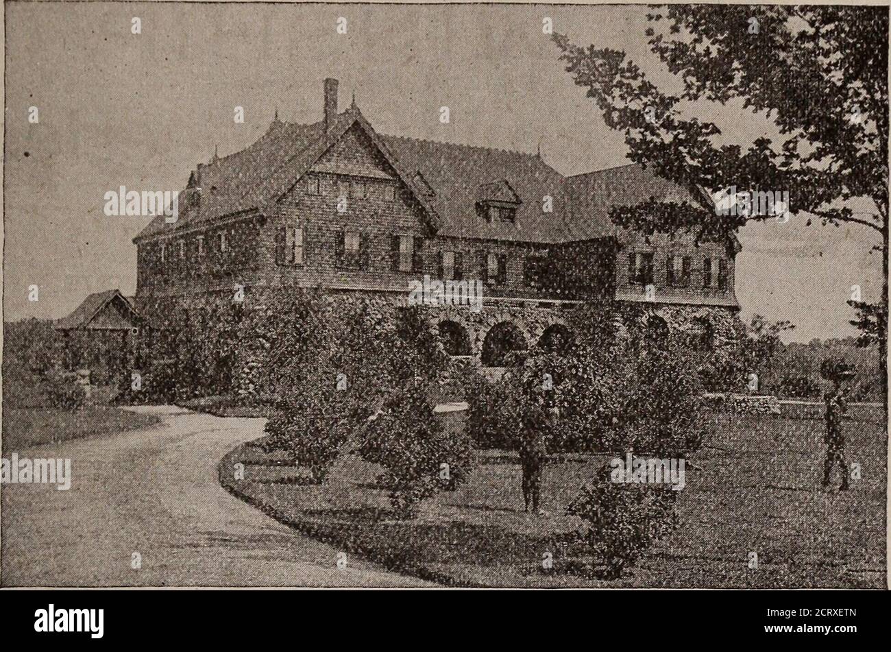 clarks shoes chelmsford