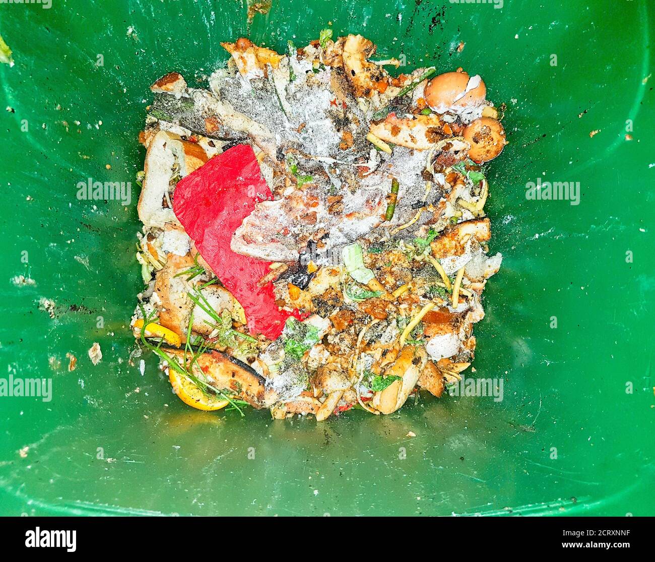 Organic garbage inside the garbage can stock photo alamy