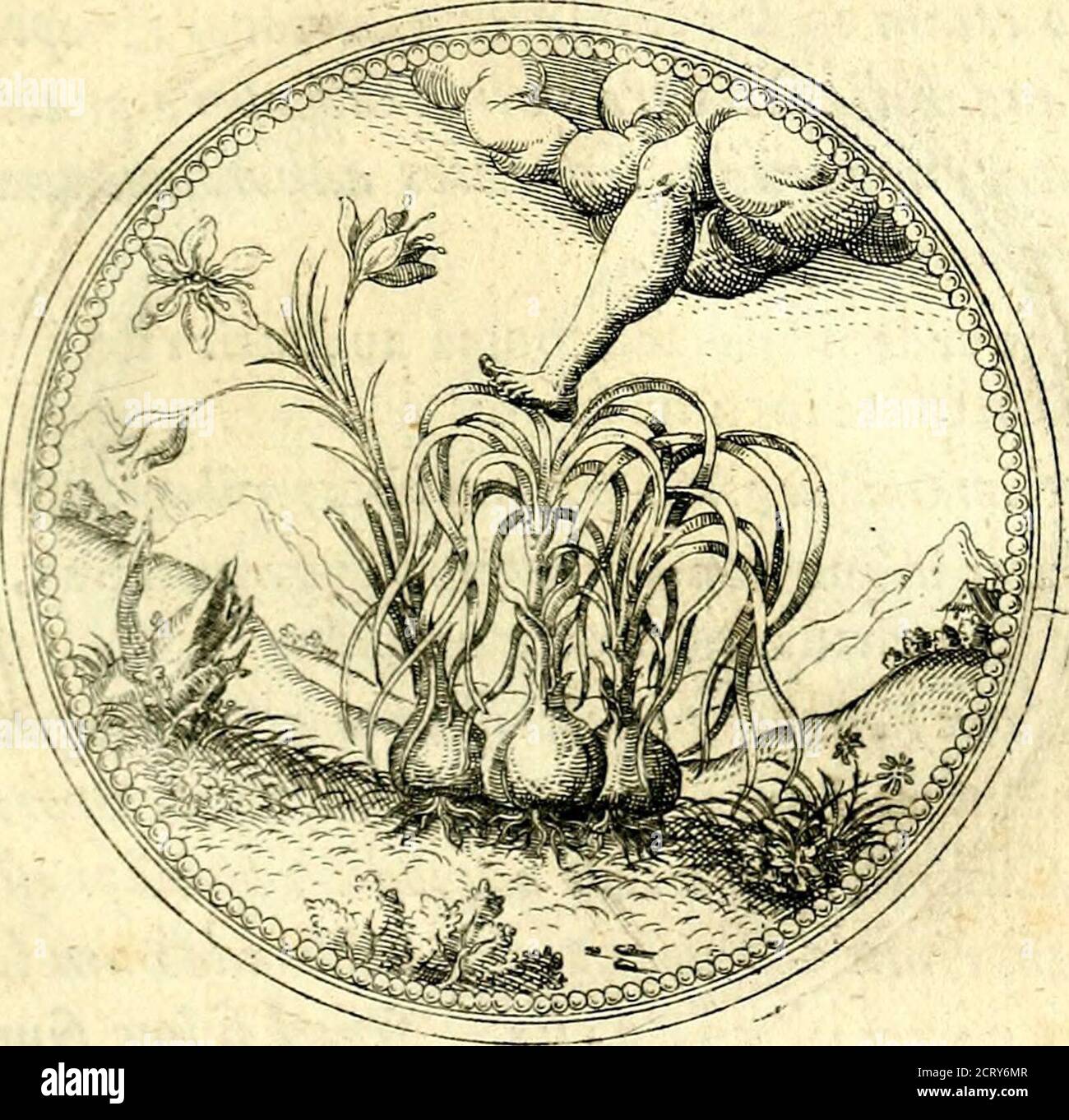 Dubio hires stock photography and images Alamy